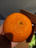 京鲜生 四川爱媛38号果冻橙 净重4.5-5斤 单果120g+ 源头直发包邮 实拍图