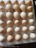 京鲜生富硒鲜鸡蛋30枚 3斤 源头直发 实拍图