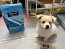 伯纳天纯狗粮经典 小型犬幼犬狗粮 3月-12月龄 经典系列柯基1.5kg/3斤 实拍图
