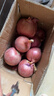 京鲜生 甘肃紫皮洋葱带皮 净重9斤 单果200g+ 新鲜蔬菜源头直发 实拍图