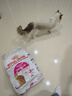 皇家成猫猫粮 口感型 ES35通用粮12月以上10KG 实拍图