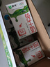蒙牛全脂纯牛奶250ml*21盒 早餐健身伴侣 送礼盒装 实拍图