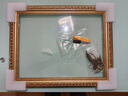 万晶 数字油画外框定制欧式免组装裱框架大尺寸40*50cm实木diy油画配框 5461金色（油画框） 【内径30*40厘米】 实拍图