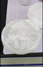 湘玻 玻璃培养皿高硼硅玻璃器皿耐高温酸碱加厚平皿实验室细菌细胞培养 90mm10个/盒 实拍图
