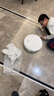 科沃斯T80扫地机器人扫拖洗烘一体自动清洗滚筒洗地机器人智能语音水箱版国家补贴 实拍图