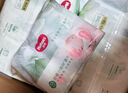 好奇（Huggies）小森林纸尿裤XL32片(12-17kg)尿不湿心钻【透氧顶配更低敏】 实拍图
