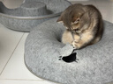 煦凛日本猫窝四季通用猫隧道玩具兔子钻洞轮胎猫洞夏季保暖躲避猫屋 隧道窝深灰色+猫头孔洞【升级加厚】 中号【适合8斤内猫咪】 实拍图