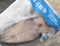 海蓝厨房 冰鲜马鲛鱼2-5斤 整条切片 海南深海冷冻马鲛鱼中段 马鲛鱼中段5斤 实拍图