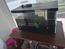 米家（MIJIA）小米米家智能生态鱼缸还原自然生态补仓一次三月无忧出差旅行必备 实拍图