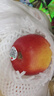 新西兰红玫瑰苹果进口queen苹果脆甜新鲜水果10个大标签随机 10个（单果115-130g） 实拍图