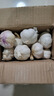 紫白皮蒜水果大蒜超市即食生鲜蔬菜大蒜 特价带箱 1斤 单果3.5-5cm 实拍图