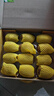 佳沛（zespri）新西兰  阳光金奇异果10粒礼盒巨大果单果约144-175g 水果 猕猴桃 实拍图