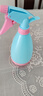 喷壶小型喷壶器浇花洒水壶糖果色喷壶喷水工具 糖果蓝色（1个装） 实拍图