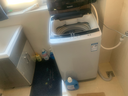 松下（Panasonic）【吴磊推荐】波轮洗衣机全自动8公斤 宿舍租房神器 迷你内衣洗衣机智能桶自洁以旧换新XQB80-K3F1 实拍图