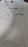 回力长袖t恤男简约秋季翻领polo保罗衫男装商务纯色打底衫男装服饰 实拍图