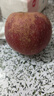 正宗山东烟台红富士苹果新鲜水果当季栖霞脆甜冰糖心红富士苹果 带箱2斤 实拍图