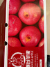 京鲜生 烟台红富士苹果 净重10斤  单果160g以上 水果礼盒 实拍图