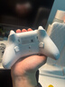 飞智冰原狼4多模版无线游戏手柄 类xbox 力调节摇杆双切扳机 switch电脑PC手机steam体感NS 丝之歌 实拍图