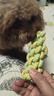 HELLOJOY狗狗玩具 耐咬磨牙棉绳球套装宠物幼犬小狗玩具自己玩解闷5件套 实拍图