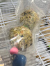 喜帅鹦鹉磨牙零食球 鸟用磨嘴小零食训练奖励食物啃咬鸟玩具2串装 实拍图
