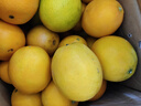 土八鲜赣南脐橙江西橙子赣州脐橙新鲜水果应季水果礼盒 奋斗橙净重4.5-5斤【果径60-69mm】 实拍图