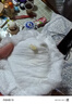 好奇（Huggies）金装成长裤婴儿拉拉裤超薄柔软透气 XL72片(12-17kg) 实拍图
