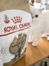 皇家猫粮 英短成猫粮 BS34 通用粮 12月以上 2KG 实拍图