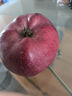 京鲜生 天水花牛苹果 净重4.5斤 单果170g+ 生鲜水果源头直发 实拍图
