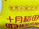 十月稻田 山西黄小米 5斤 25年新米 五谷杂粮 粗粮 早餐小米粥 实拍图