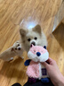 贵为（GiGwi）狗玩具响纸狐狸发声毛绒洁牙耐咬狗狗玩具耐咬幼犬玩具宠物玩具 实拍图