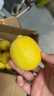 京鲜生 安岳黄柠檬16粒 单果95g-120g 生鲜水果 实拍图