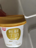 燕塘 原味 低温鲜奶布丁 100g*12杯 下午茶健康零食 源头直发包邮 实拍图