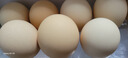 京鲜生鲜鸡蛋20枚/盒 健康轻食 营养健康 2斤/盒 源头直发  实拍图