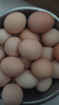 新鲜农家谷物鲜鸡蛋  现捡现发 破损包赔  营养早餐 30枚装（3斤） 实拍图