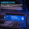 西部数据（WD）sn580/sn5000/sn5100/sn770/sn7100 NVME协议 M.2 2280 PCle4.0台式机笔记本游戏 ssd固态存储硬盘 蓝盘 SN5000 1T PCle 实拍图