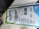 仙泉湖三去白蕉海鲈鱼1斤/条净膛冷冻刺少肉厚珠海特产500g生鲜食材 实拍图