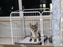 贝初众狗围栏室内宠物围栏狗笼子狗栅栏狗笼小中大型犬猫围栏狗笼折叠 120*60*60cm【适合中小型犬】 【6片】自由拼接组合围栏 加粗加密框架/无惧啃咬 实拍图