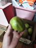 京鲜生白心芭乐番石榴净重3斤 单果150g起 脆果 水果源头直发包邮 实拍图