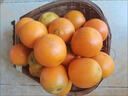 趣觅鲜永兴冰糖橙正宗湖南郴州当季新鲜水果甜橙超甜橙子礼盒装 5斤中果60-70mm 实拍图