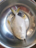 恒兴食品 原条金鲳鱼净重2斤/4条装 BAP认证海鲜生鲜深海鱼火锅食材  实拍图