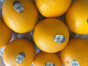 美国进口新奇士3107黑标脐橙Sunkist进口橙子甜橙单果170-210克 10个大果 实拍图