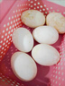 百世富泽（BAISHIFUZE）【百世富泽】黄河滩大鹅蛋新鲜正宗土鹅蛋农家自养孕妇超大鹅蛋 12枚130-150克 实拍图
