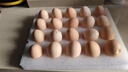 京鲜生鲜鸡蛋20枚/盒 健康轻食 营养健康 2斤/盒 源头直发  实拍图