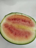 全美2K小糖丸西瓜 2K小糖丸西瓜2-3斤 实拍图