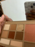 卡姿兰（Carslan）十色眼影盘一盘多用大地色眼影腮红高光修容鼻影盘01#18g生日礼物 实拍图