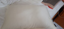 霞珍酒店枕头全棉羽毛枕 柔软鹅毛枕芯 单只装48*74 实拍图