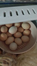 京鲜生富硒鲜鸡蛋30枚 3斤 源头直发 实拍图