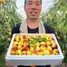 爱鲜摘农场陕西大荔冬枣【京东顺丰-次日达】新鲜片红枣牛奶枣水果礼盒中秋 【超大冰糖甜】稀缺果王 20g+ 5斤礼箱装【金奖果-送礼有面】净4.5 实拍图