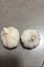 【百万单爆品】紫白皮蒜水果大蒜超市生鲜蔬菜调料即食蒜 【尝鲜】3头 50g 单果3.5-5cm 实拍图