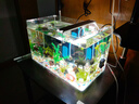 高清热弯浮法透明玻璃鱼缸客厅家用造景装饰生态中小型生态金鱼缸 热弯鱼缸-简易升级套餐 长50*宽27*高30cm 实拍图